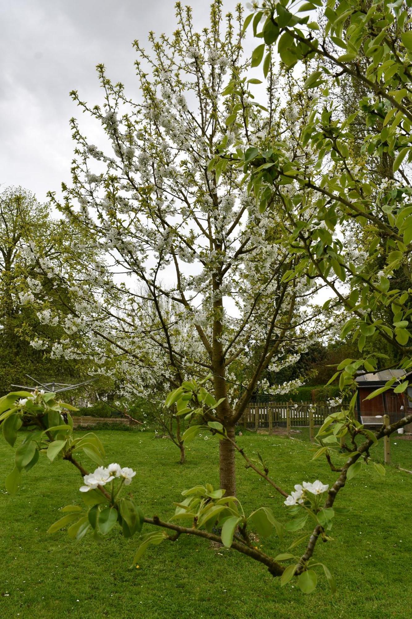 Au Four Et Au Jardin Hébergement de vacances Namur